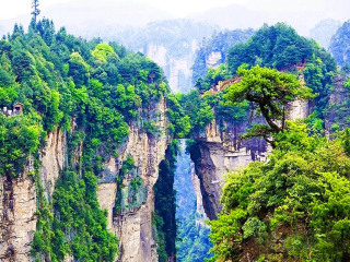 東莞到湖南張家界游_湖南張家界八月份旅游_湖南張家界旅游路線