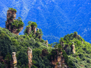 東莞到湖南張家界游_湖南張家界八月份旅游_湖南張家界旅游路線