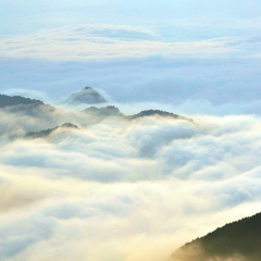 小交通模块 