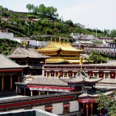 活动模块 