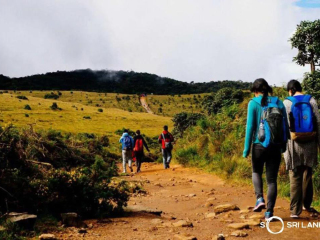 斯里蘭卡旅游費(fèi)用多少_到斯里蘭卡旅游_斯里蘭卡報(bào)團(tuán)多少錢