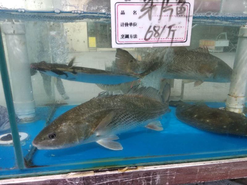 客房