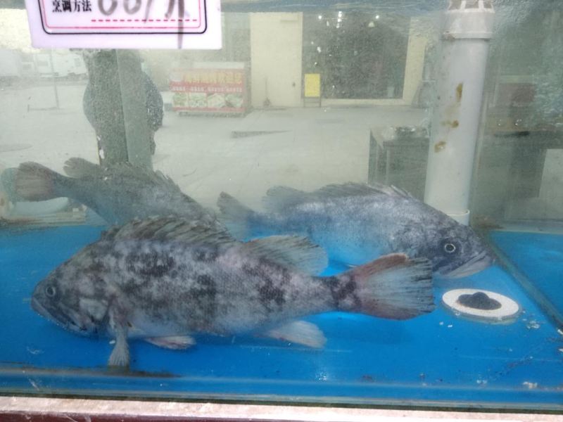 客房