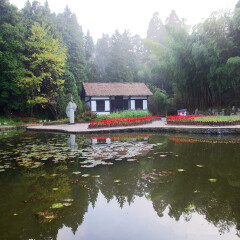 景点模块 