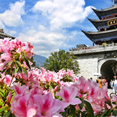 小交通模块 