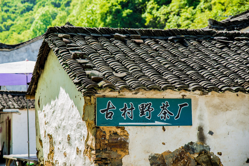 山野幽居简谱_说起杭州的烟雨朦胧,探得九溪一处山野幽居品另一番杭州滋味(2)