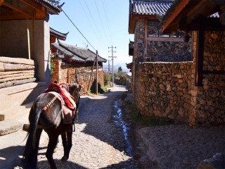 去昆明旅行网_昆明旅游十日_旅游去昆明