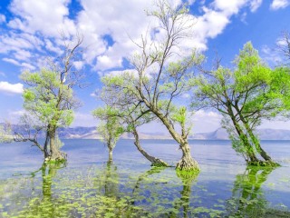去昆明旅行网_昆明旅游十日_旅游去昆明