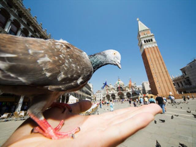 多哈-米兰-加尔达湖-维罗纳-威尼斯-五渔村-比萨