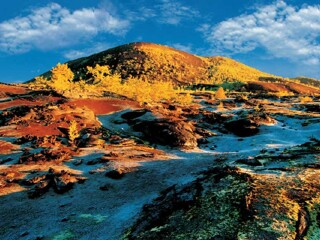 去呼伦贝尔游跟团_去呼伦贝尔旅行7天_几月去呼伦贝尔旅游最便宜