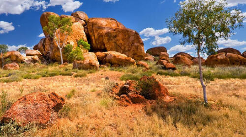 西麦克唐纳山脉英文徒步一日游(爱丽丝泉往返