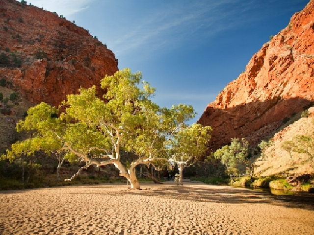 西麦克唐纳山脉英文徒步一日游(爱丽丝泉往返