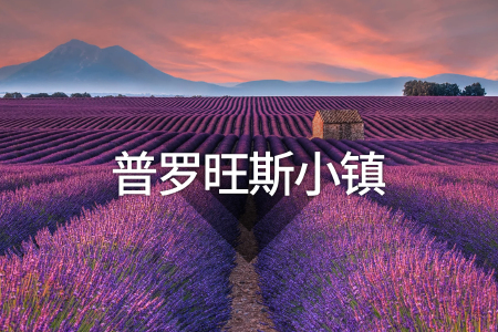 <法国南部普罗旺斯3日游>尼斯往返、海滨假日、普罗旺斯薰衣草、蔚蓝海岸出海巡游、南法小镇、尼斯戛纳（当地游）