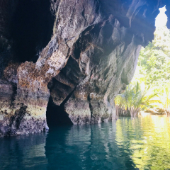 活动模块 