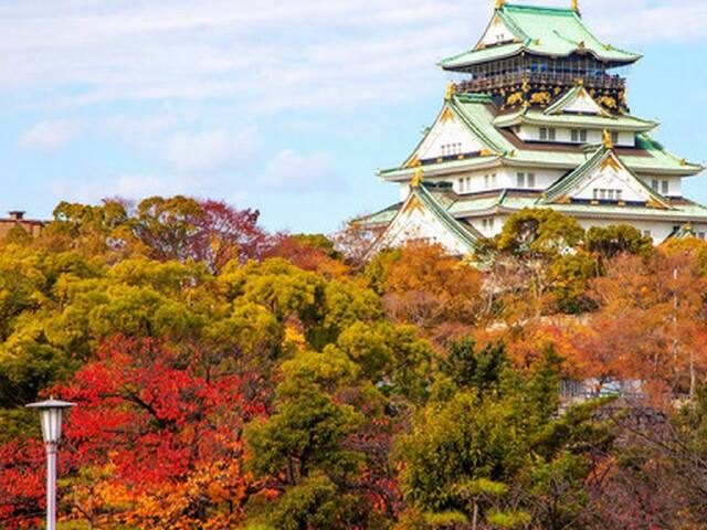 日本永居人口_日本人口图