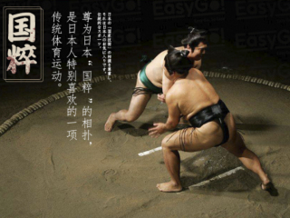去日本游跟团_日本2人旅游需要多少钱_日本10日游去哪