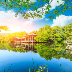 Beautiful Hangzhou West Lake Garden in the summer,China