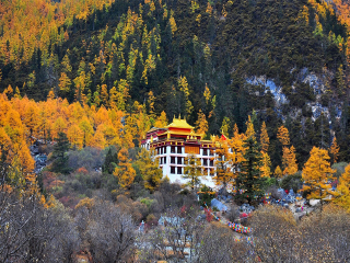 四川稻城亞丁7天跟團旅游_去四川稻城亞丁6日旅游_跟團四川稻城亞丁旅游