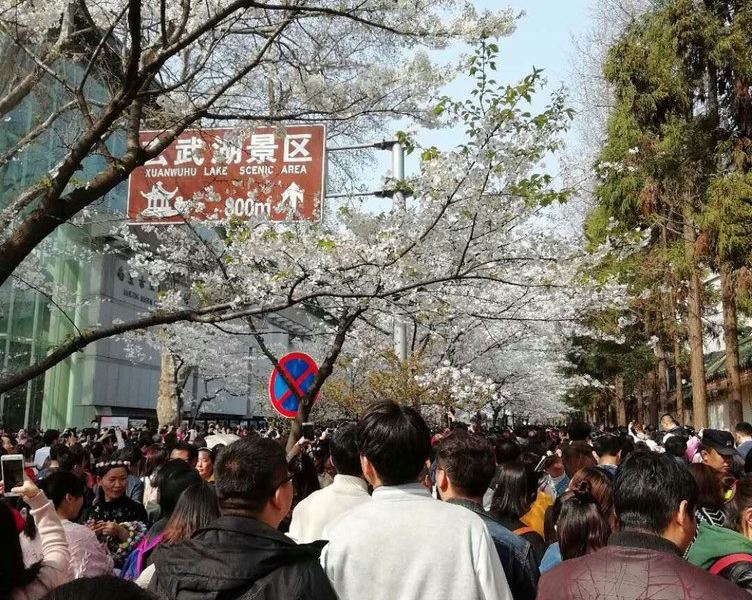 南京温馨之家3公寓(玉带园分店)