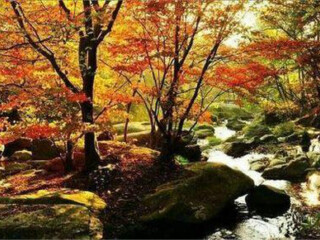江西廬山組團旅游_江西廬山游8月份報價_深圳特價江西廬山游