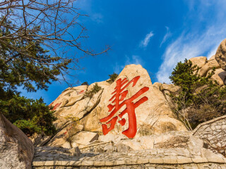 山東青島跟團(tuán)還是自由行_跟團(tuán)山東青島旅游價格表_山東青島游報價