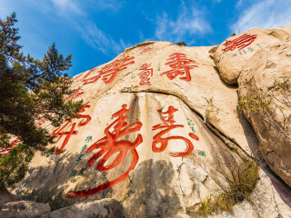 山東青島跟團(tuán)還是自由行_跟團(tuán)山東青島旅游價格表_山東青島游報價
