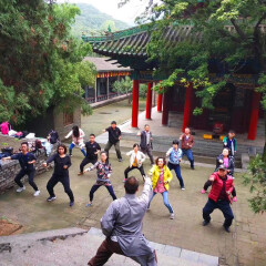 活动模块 