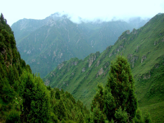青海湖八月份旅游_深圳特價青海湖游_青海湖游報價