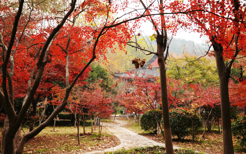 金陵第一明秀山,南京栖霞山_栖霞山游记_途牛