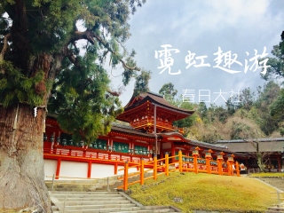 2021去日本跟團(tuán)多少錢_日本旅游一次多少錢_日本游價(jià)格