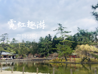 2021去日本跟團(tuán)多少錢_日本旅游一次多少錢_日本游價(jià)格