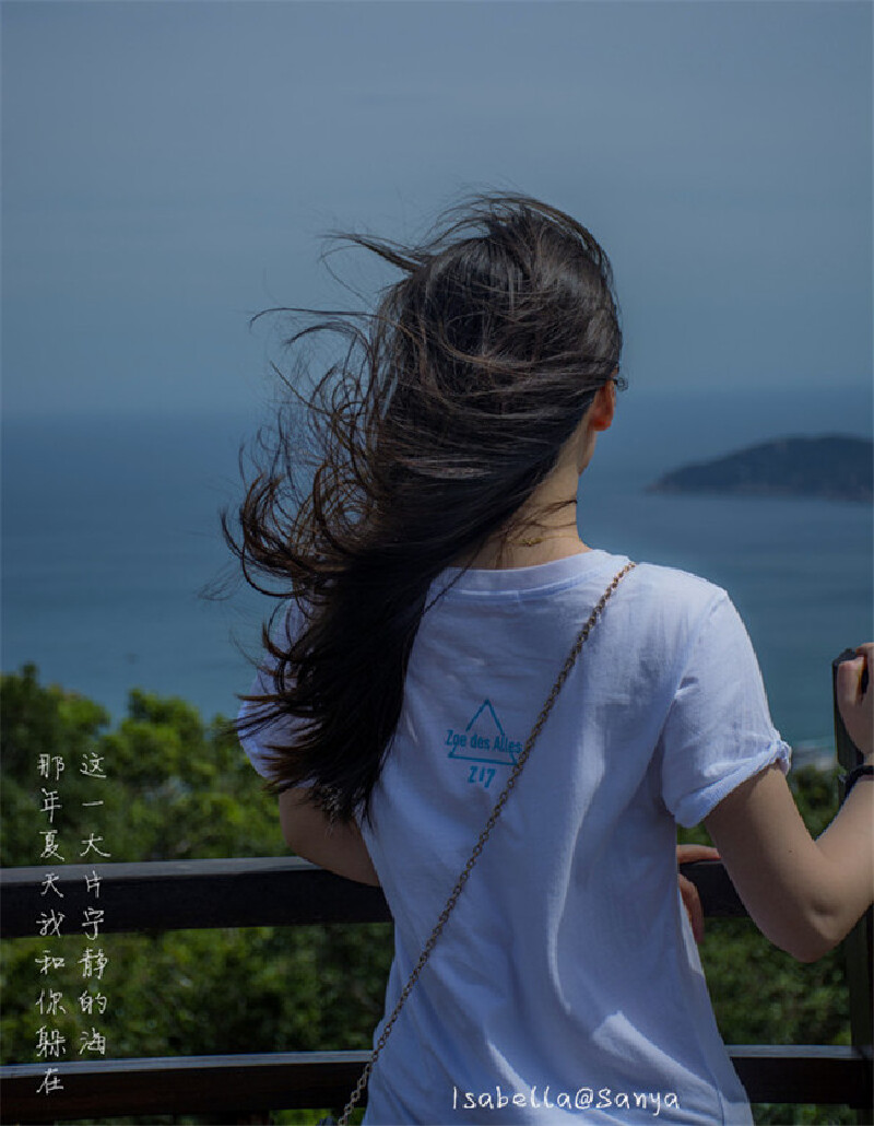 来张小清新的背影          