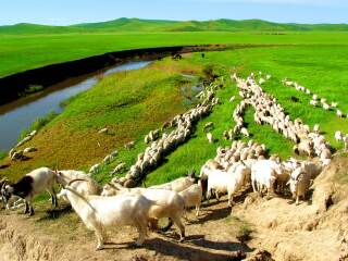呼倫貝爾旅游報價_呼倫貝爾自由行費用_呼倫貝爾旅游組團(tuán)