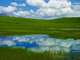 青海湖旅游花多少錢_旅行團(tuán)青海湖游_現(xiàn)在到青海湖旅游多少錢