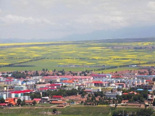 青海湖旅游花多少錢_旅行團(tuán)青海湖游_現(xiàn)在到青海湖旅游多少錢