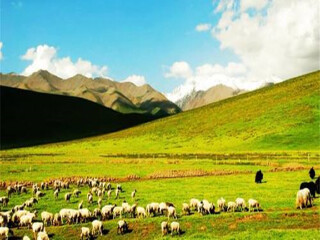 甘肅敦煌旅游價(jià)格_現(xiàn)在到甘肅敦煌旅游多少錢_甘肅敦煌最適合旅游的季節(jié)
