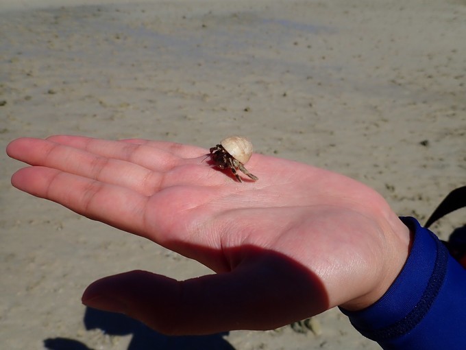 马尔代夫和斐济哪个好?等开工资了我去旅游的