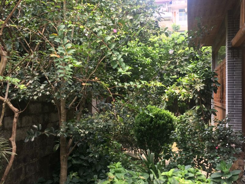 三江丹洲丹闲居客栈