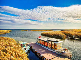 春节假期去额济纳旗胡杨林游价格_去额济纳旗胡杨林旅游十一天要多少钱_额济纳旗胡杨林十一旅游团