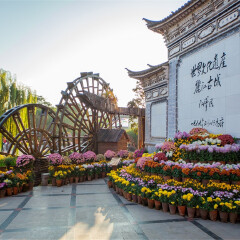 活动模块 