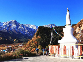 春节假期去额济纳旗胡杨林游价格_去额济纳旗胡杨林旅游十一天要多少钱_额济纳旗胡杨林十一旅游团