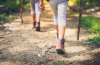 国家公园徒步旅行