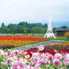 花语牧场 景点模块
