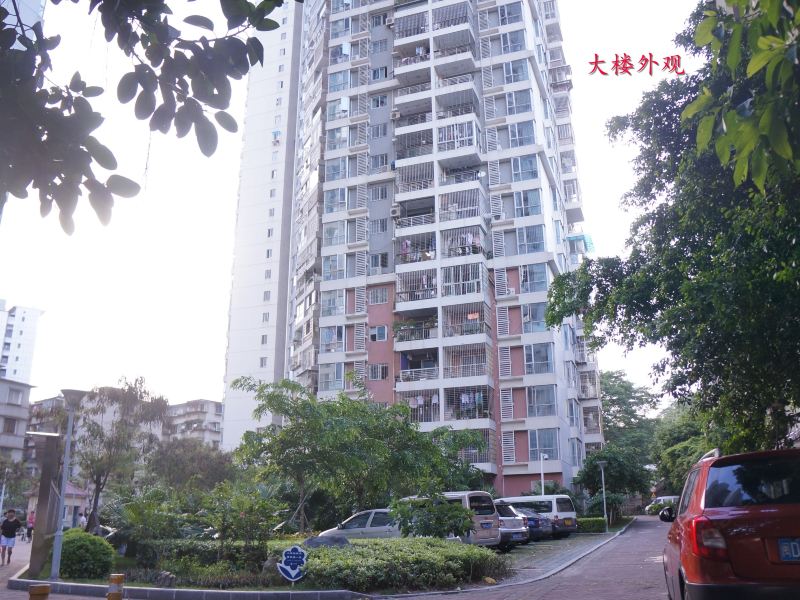 厦门凤凰木客栈