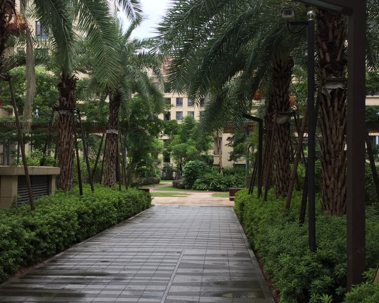 厦门上善若水1213普通公寓(分店)