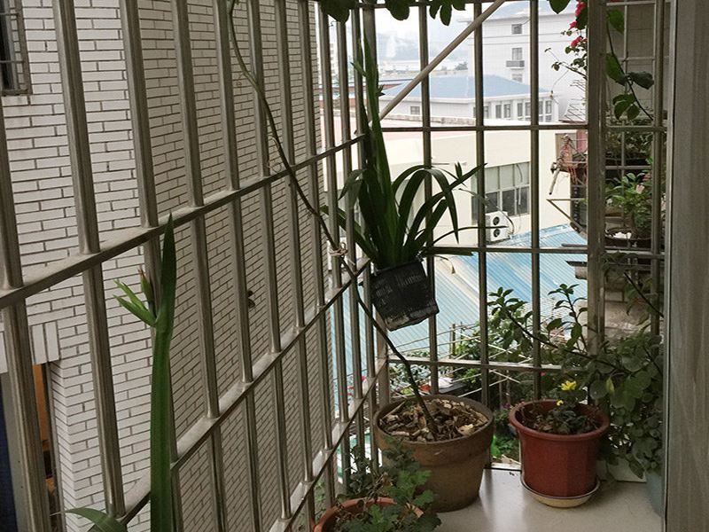 厦门LBAO普通公寓