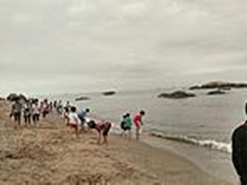 厦门新旅途海边人家普通公寓(分店)