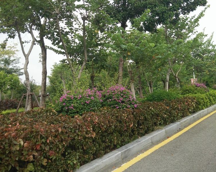 厦门岛内之家普通公寓