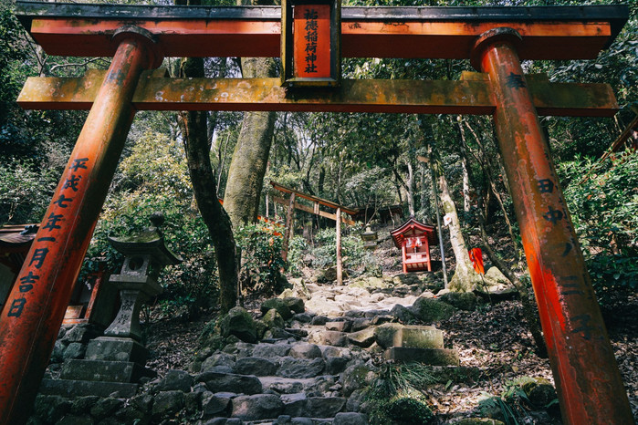 首发##9是这样牛【佐贺】九州小众旅行之神社,乐园与