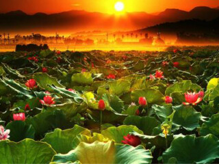 云南昆明旅游團(tuán)報(bào)價(jià)自由行_云南昆明游 旅行團(tuán)_云南昆明旅游費(fèi)用多少